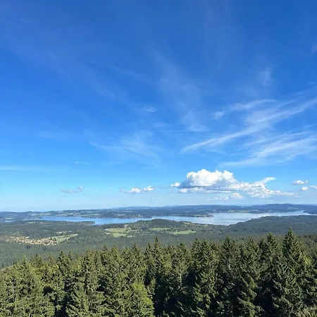 Apartment Lipno Lake House Predni Vyton